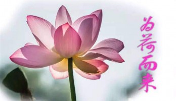 大美濕地 為“荷”而來——5月14日鳴翠湖山地自行車定向越野賽報名啦！