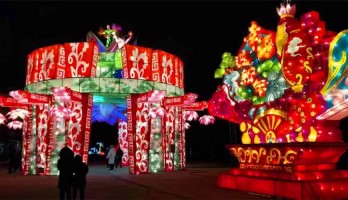 銀川鳴翠湖國家濕地公園燃爆全民春節旅游熱潮！
