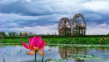 機不可失！銀川鳴翠湖國家濕地公園旺鋪火熱招商中！黃金位置，欲租從速！