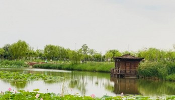 置身花海，芳香自來(lái)~~