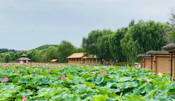 來(lái)鳴翠湖的“鳥(niǎo)語(yǔ)林”吧，與上百只孔雀零距離接觸。還有系列活動(dòng)玩轉(zhuǎn)你這個(gè)周末！