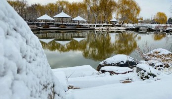 這是20年鳴翠湖遇見的，第一場雪。